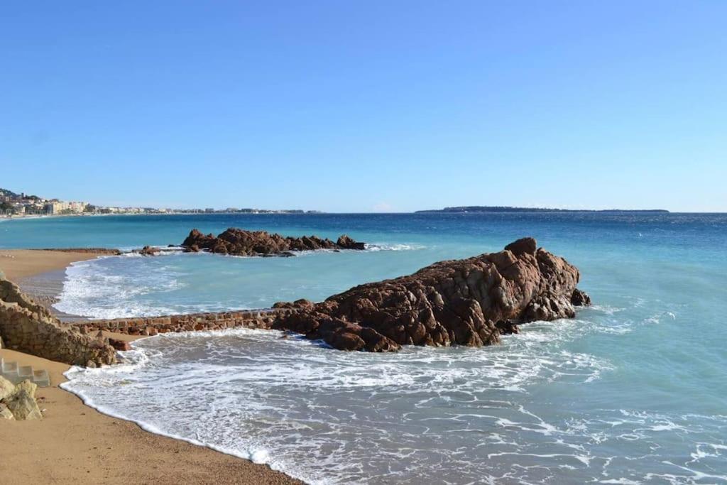 Apartamento On Vacay - Votre Havre De Paix A 100 M Des Plages Cannes